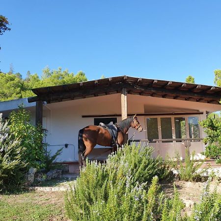 Villa Badde Rosa Dorgali Exterior foto