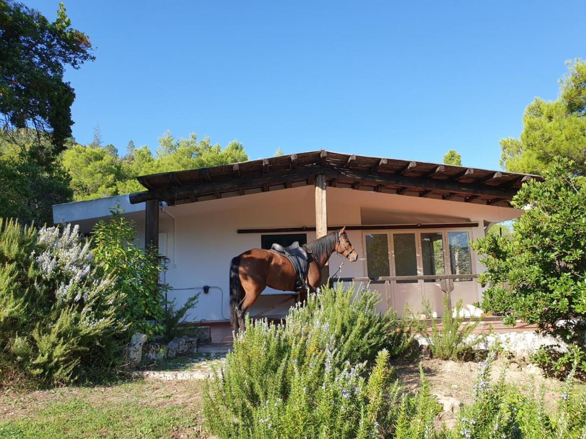 Villa Badde Rosa Dorgali Exterior foto